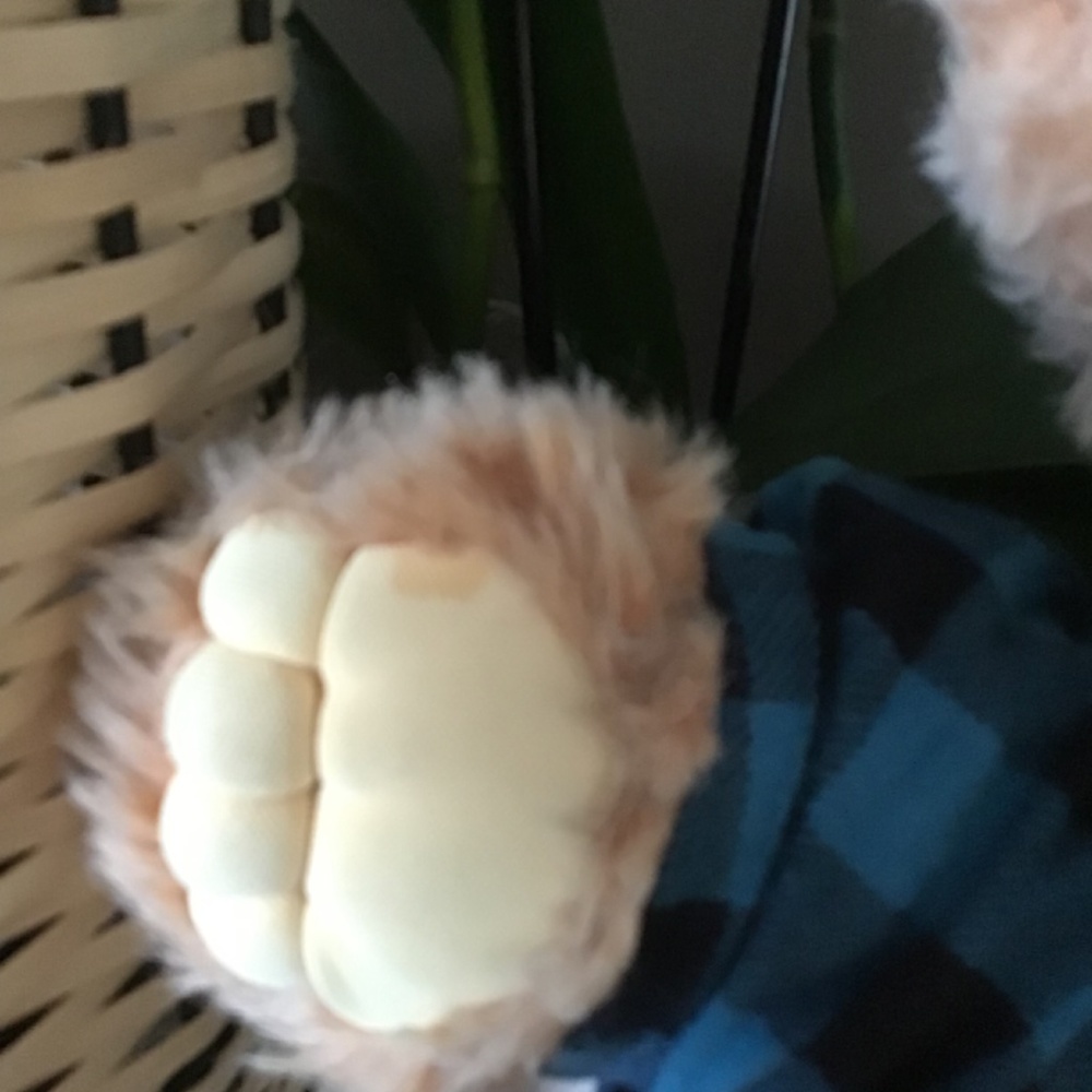 Furskins Bear - Picture 4 of 4